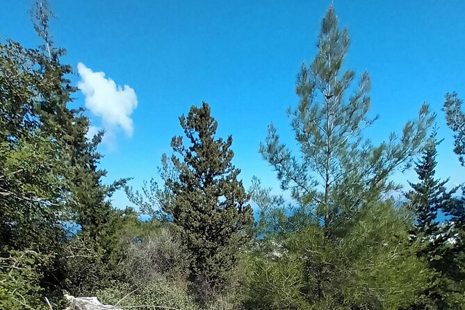 Private Day Walk Tour in the Nature Near Kyrenia, Cyprus - Included in the Experience