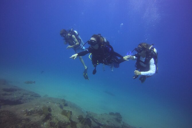 Private Dive Boat for Certified Divers - Cabo San Lucas - Meeting and Pickup Details
