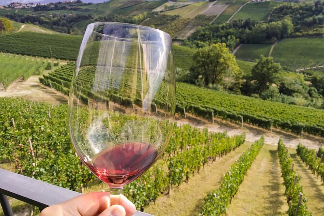 Private E-Bike Tour Langhe Del Barbaresco - Asphalt Only - Inclusions and Activities Offered