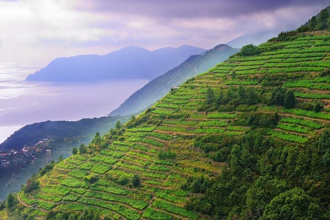 Private Easy Cinque Terre Accessible Tour From Livorno - Pickup and Accessibility