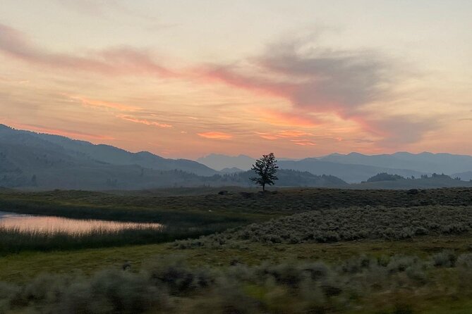 Private Evening/Sunset Wildlife Encounter Tour - Inclusions and Pricing