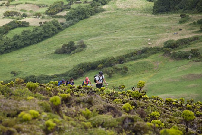 Private Faial Hike: 10 Volcanoes Trail  - Horta - Preparing for the Adventure