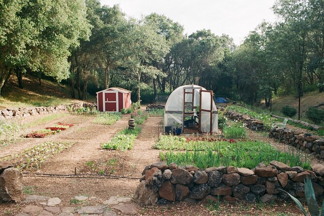 Private Farm Workshop in Napa Valley - Educational Workshop and Garden Tour