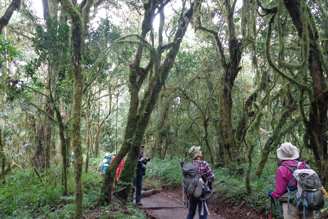 Private Full-Day Hiking Tour in Mount Kilimanjaro - Inclusions