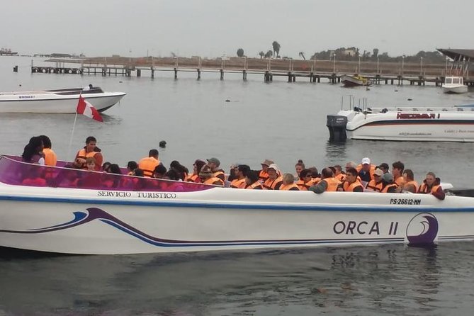 Private Full Day Paracas From Lima - Accessibility