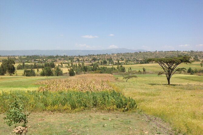 Private Full-Day Stone Age and Medieval Tour From Addis Ababa - Itinerary Overview