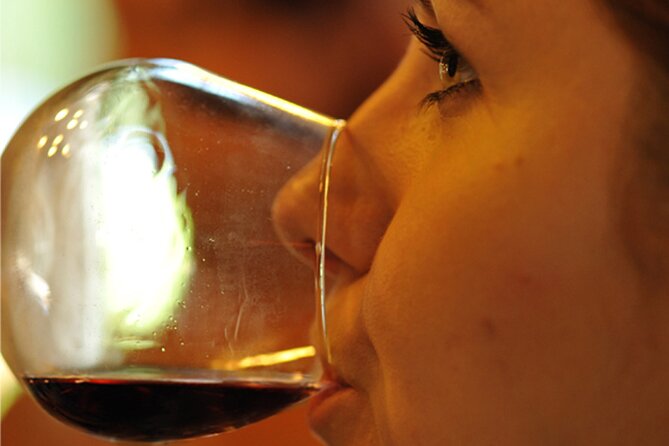 Private Full Day Tour Burgundy Gourmet - Inclusions and Amenities