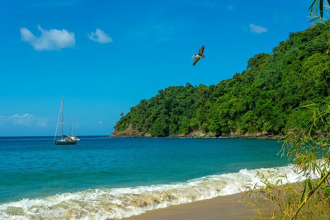 Private Full Day Tour in Pirates Bay From Trinidad and Tobago - Inclusions