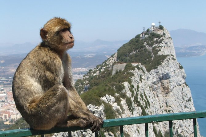 Private Full Day Tour of Gibraltar, Marbella and Puerto Banus From Malaga Hotel - Inclusions and Amenities