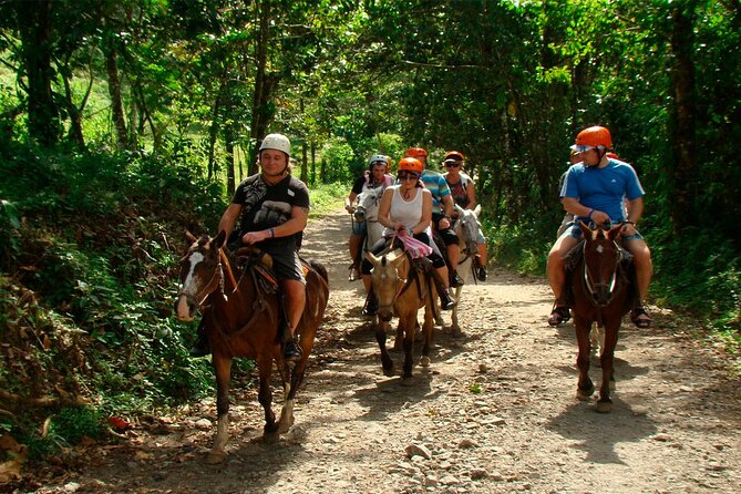 Private Full Day Tour to Arenal Volcano - Meeting and Pickup