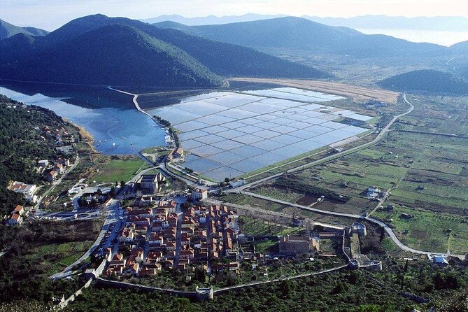 Private Full-Day Wine Tasting Tour of Peljesac - Tasting Experiences at the Wineries