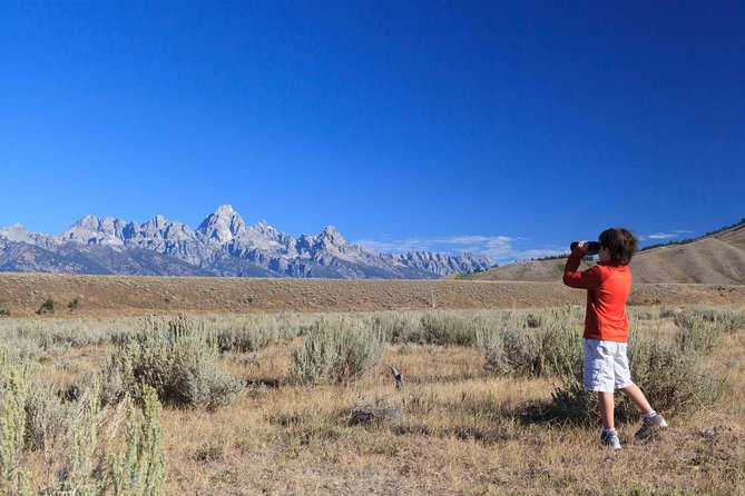 Private Grand Teton Wildlife Safari Tour - Naturalist Guide Expertise