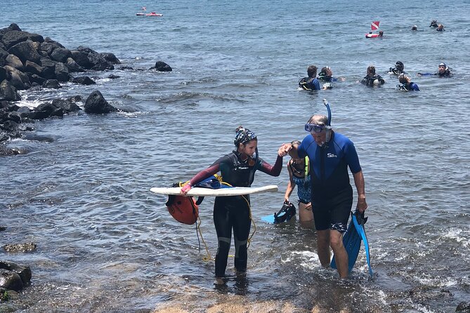 Private Group Snorkel Adventure on Tropical Reef With Sea Turtles - Inclusions and Meeting Details