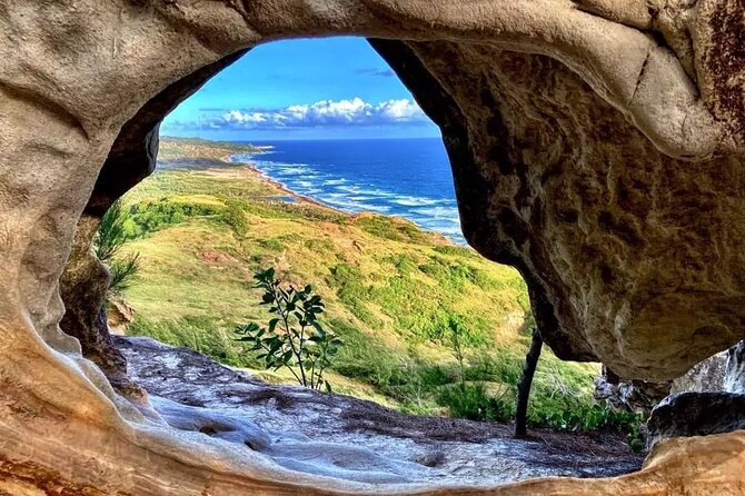Private Guided Barbados Island Tour - Discovering the Natural Wonders