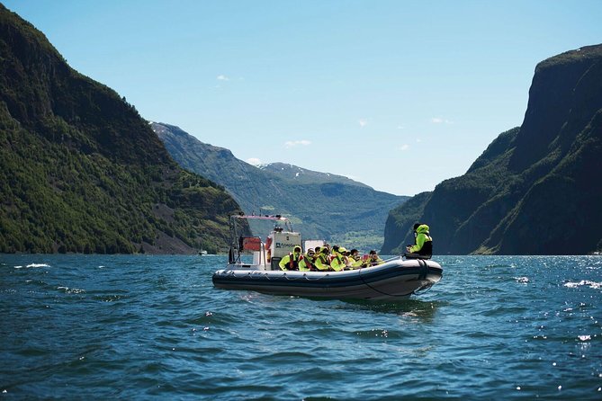 Private Guided Day Tour - RIB Sognefjord Safari and Flåm Railway - Inclusions and Accessibility