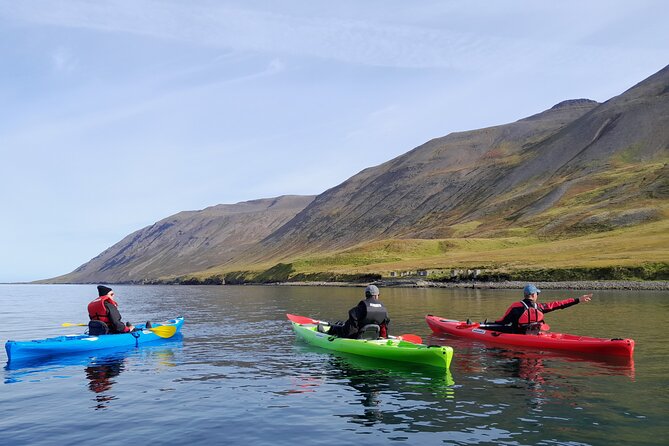 Private: Guided Kayak Tour in Siglufjörður / Siglufjordur. - Included Amenities