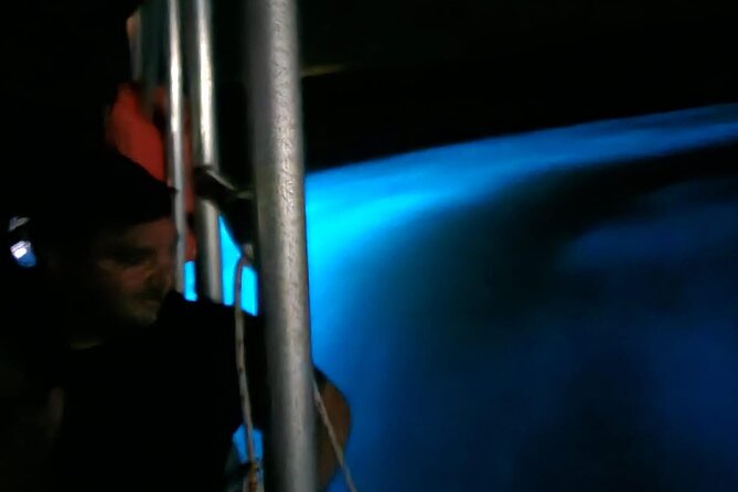 Private Guided Night Tour of Luminous Lagoon in Montego Bay - Highlights of the Tour