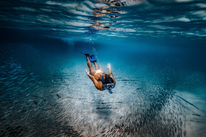 Private Guided Snorkeling in Cabo San Lucas - Inclusions