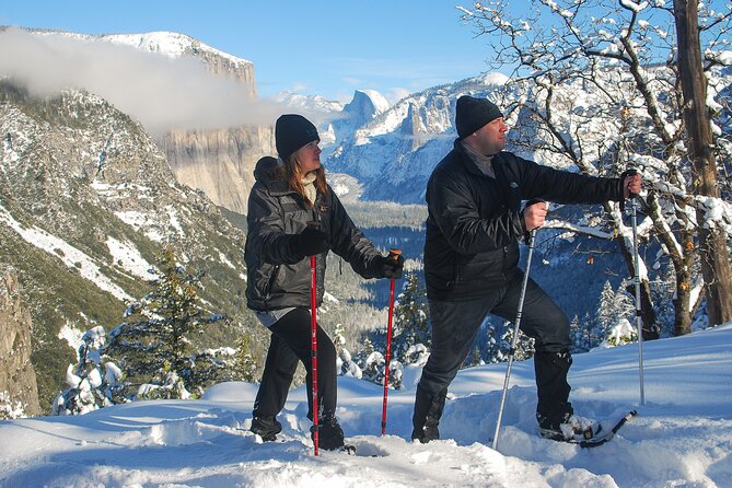 Private Guided Snowshoe Hike in Yosemite - Featured Tour Inclusions