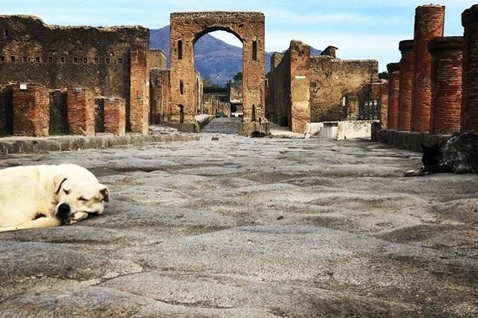 Private Guided Tour. Experience the Everyday Life of the Eternal Town of Pompeii - Accessibility and Convenience