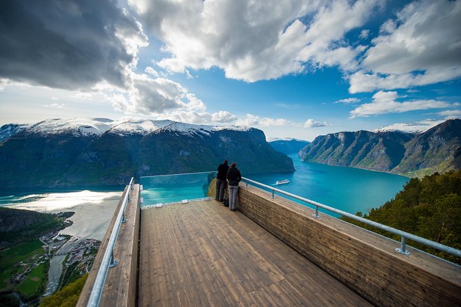Private Guided Tour to Oslo - Nærøyfjord Cruise and Flåm Railway - Transportation and Itinerary