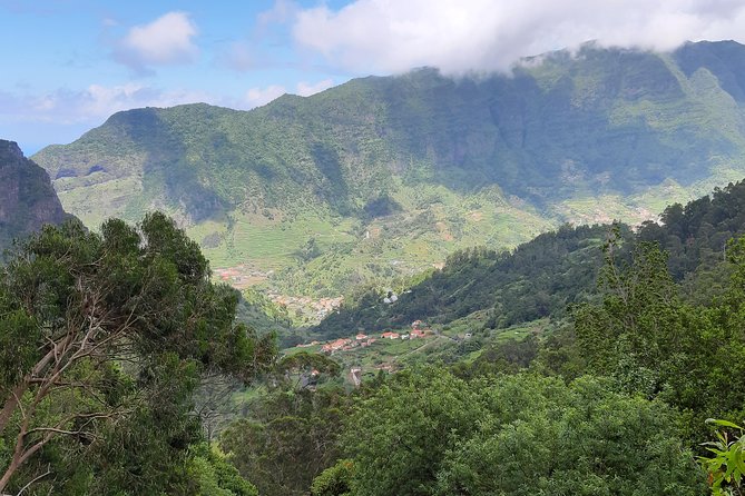 Private Guided Walk Levada Faja Dos Rodrigues Half-Day - Whats Included