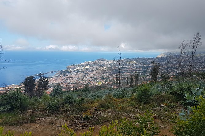 Private Guided Walk Levada Monte to Palheiro Ferreiro - Meeting Point and Duration
