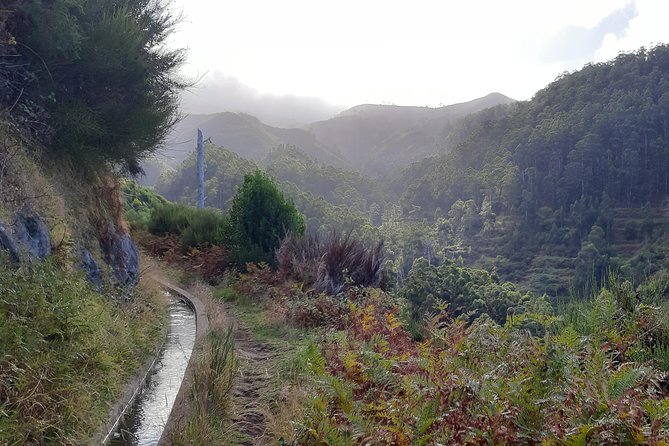 Private Guided Walk Levada Ponta Do Pargo - Pickup and Meeting Details