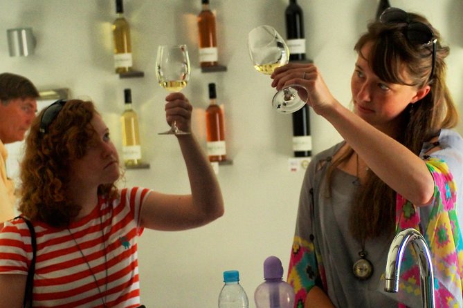Private Half-Day Languedoc Wine Tour Review - Celebrated Local Wines