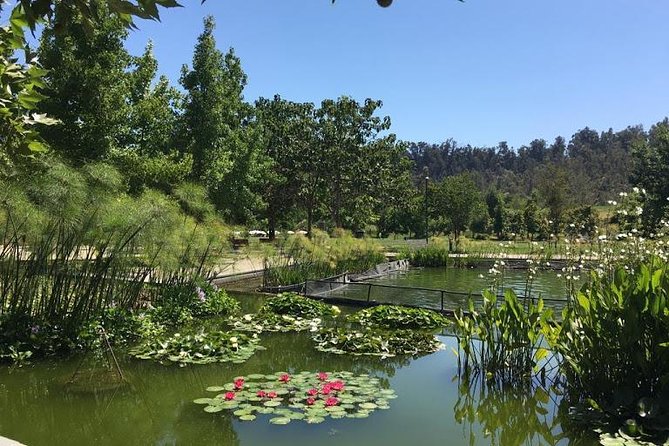 Private Half Day Tour in Santiago - Inclusions and Pickup