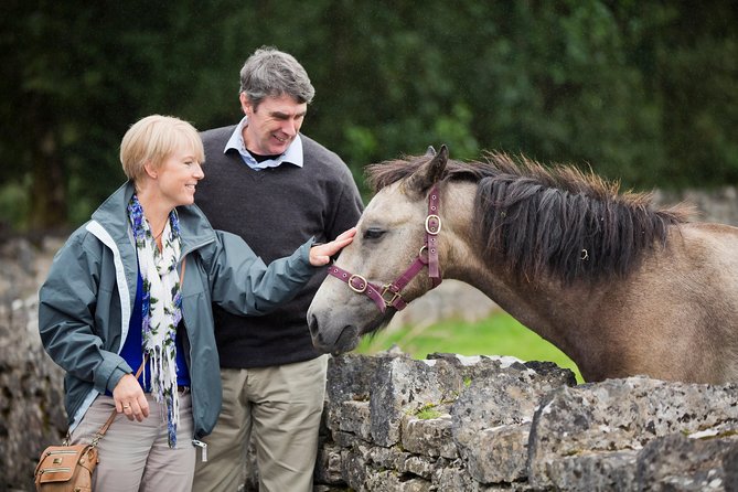 Private Half Day Tour To Connemara - Pickup and Meeting Details