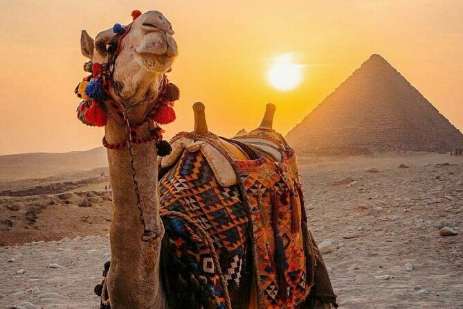 Private Half-Day Tour to Giza Pyramids by Camel - Customer Reviews