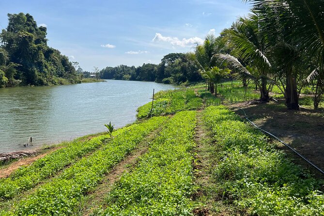 Private Half-Day Tuk Tuk Tour in Battambang - Whats Included