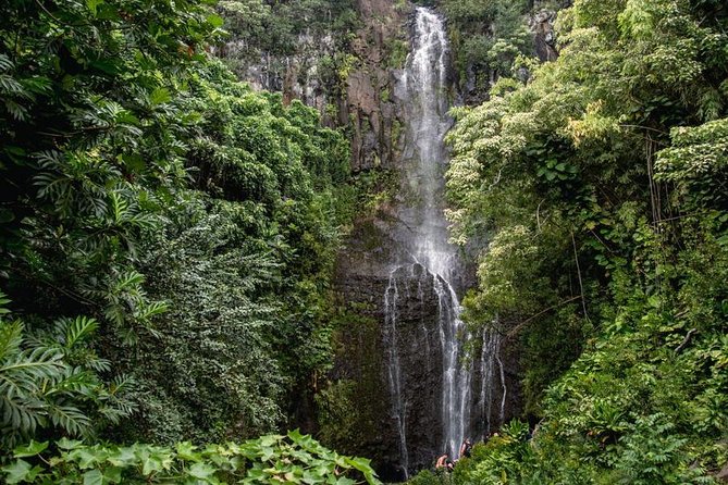 Private Hana Waterfalls Tour - Breakfast and Lunch