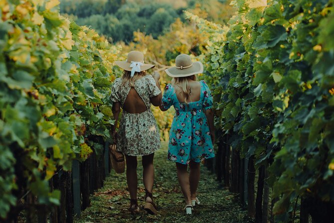 Private Hedonistic Food and Wine Experience From Zagreb - Pickup and Meeting Details