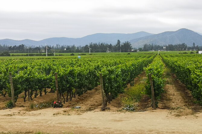 Private Helicopter Flight to Winery With Sparkling Wine Tasting - Pickup and Transportation Details