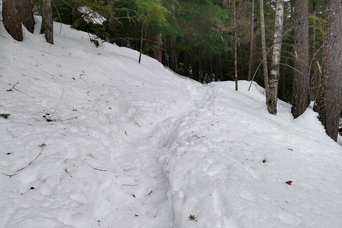 Private Horseshoe Valley Snowshoe/Crampons (Barrie/Moonstone) - Meeting Point and Directions