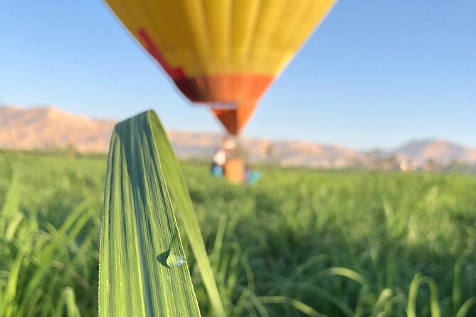 PRIVATE HOT AIR BALLOON IN LUXOR RIDE IN SMALL LUXURY GROUP FLIGHT up to 12 - Private Door-to-Door Transportation