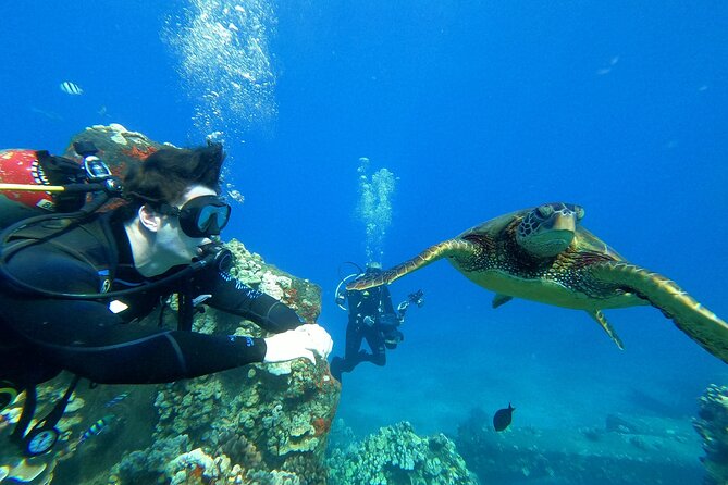 Private Intro SCUBA Adventure - Meeting and Transportation