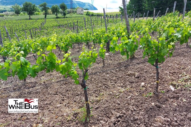 Private Irpinia Gourmet Tour From RAVELLO With Sommelier - Inclusions