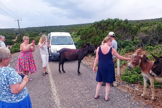 PRIVATE KARPAZ TOUR From Kyrenia - Exploring Karpaz Peninsula Highlights