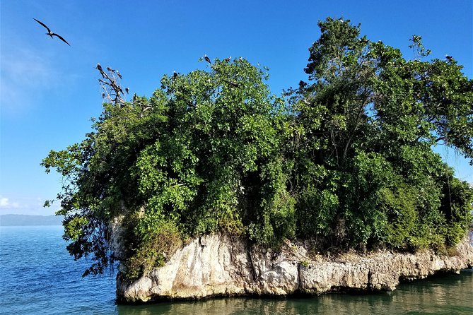 Private Kayaking in Los Haitises With a Tour Guide From Caño Hondo - Guided Kayaking and Wildlife