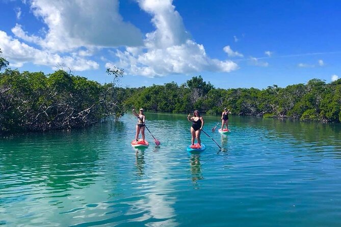 Private Key West Sandbar and Paddle by Boat - Amenities Provided
