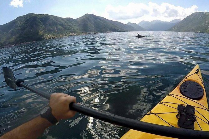 Private Kotor Kayak Adventure - Preparing for the Kayak Experience