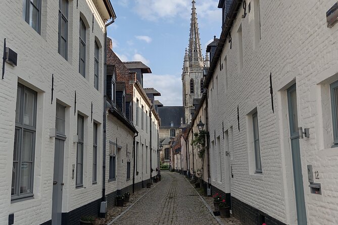 Private Leuven Tour: History, Heritage and Food - Savoring Leuvens Culinary Delights