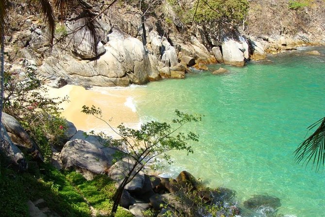 Private Los Arcos Snorkel and Beach Tour From Puerto Vallarta - Accessibility and Participation