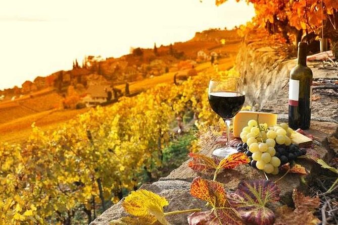 Private Lucca Wine Tour With Lunch and Tastings - Included Experiences
