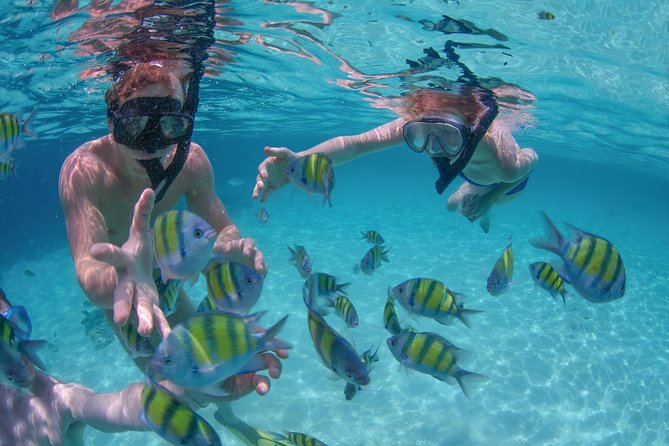 Private Luxury Sailing Cruise in Los Cabos With Lunch and Open Bar - Inclusions