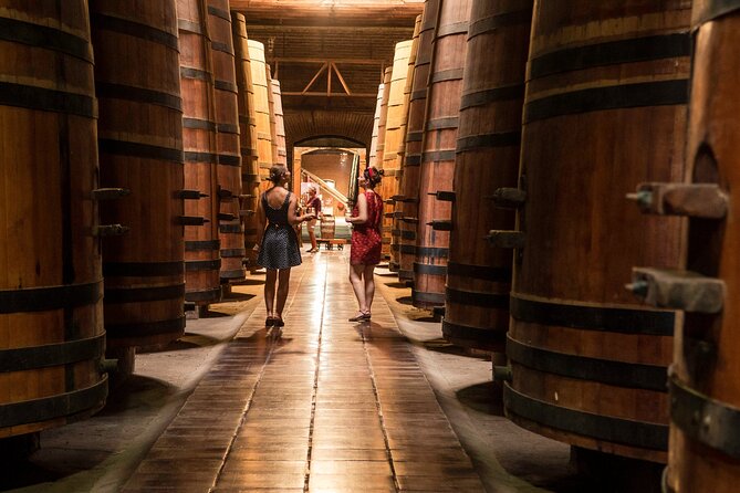 Private Maipo Valley De Luxe Wine Tour - Included Experiences