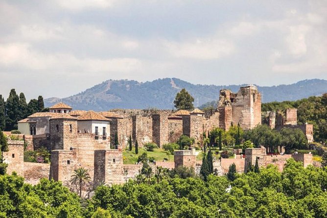 Private Malaga: Alcazaba, Museum, Market, Cathedral & Picasso - Tour Details and Logistics